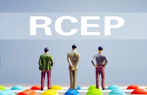 商务部推出五大举措，助力企业搭乘RCEP“快车”